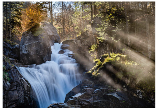 Rencontre autour de l’eau